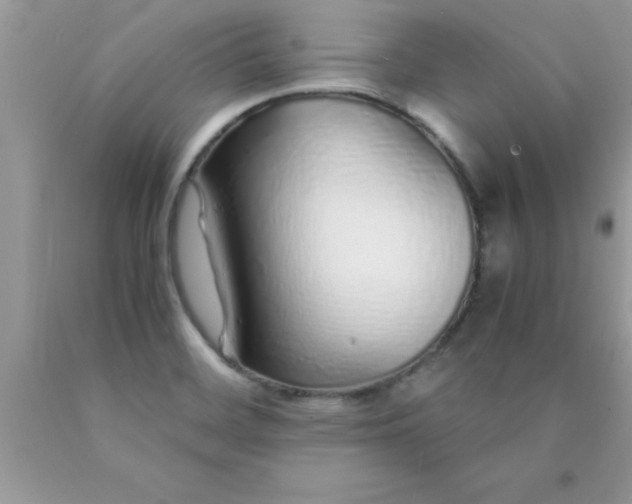 X0000090451468200707272205