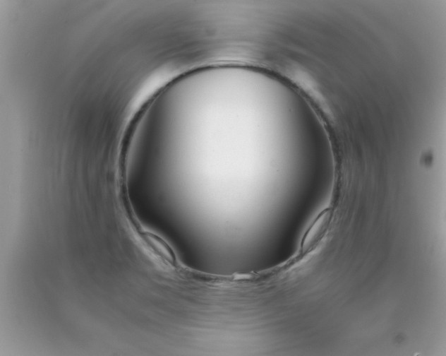 X0000090451469200707272205