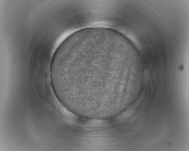 X0000090451470200707272205