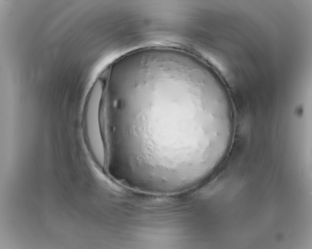 X0000090451471200707272205