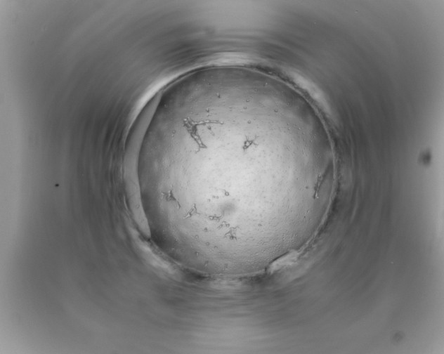 X0000090451473200707272205