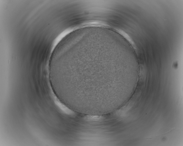 X0000090451474200707272205