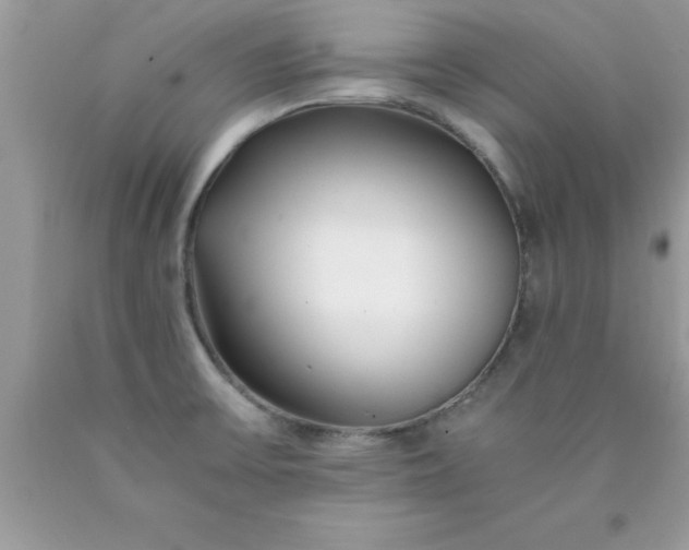 X0000090451475200707272205