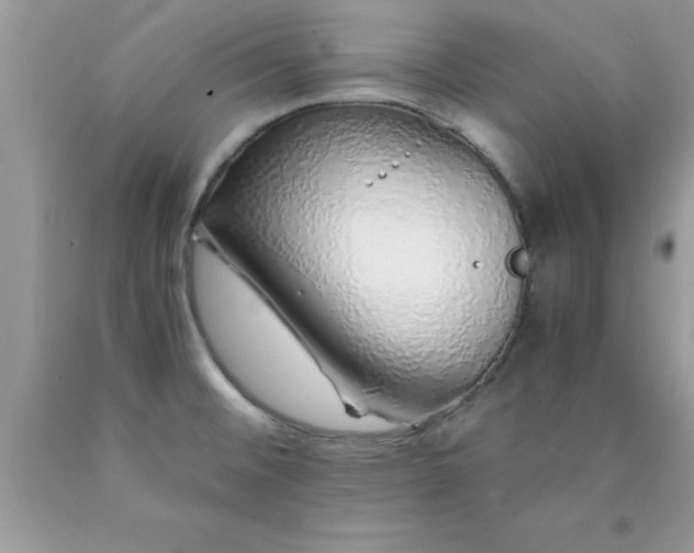 X0000090451476200707272205