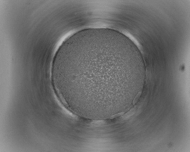 X0000090451477200707272205