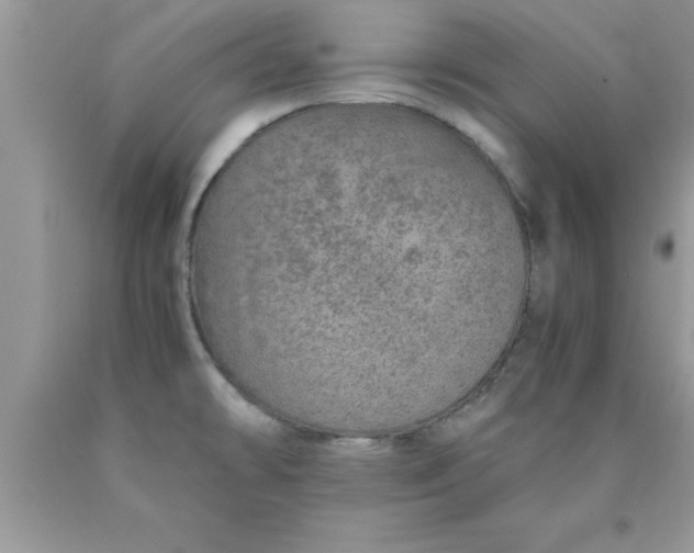 X0000090451478200707272205