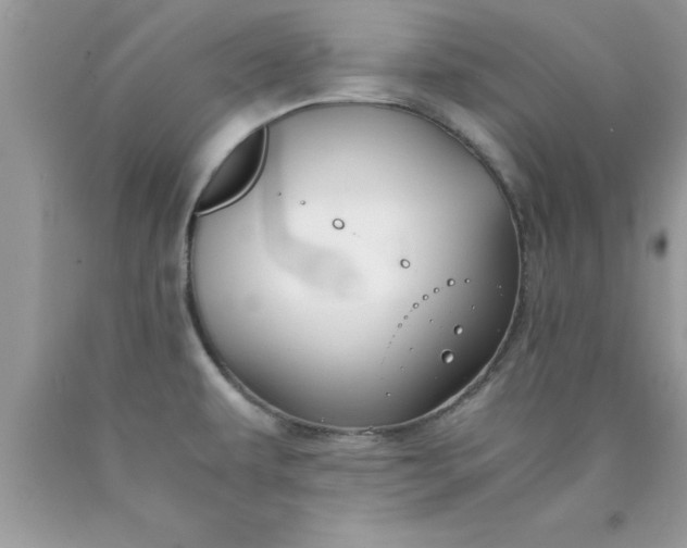 X0000090451479200707272205