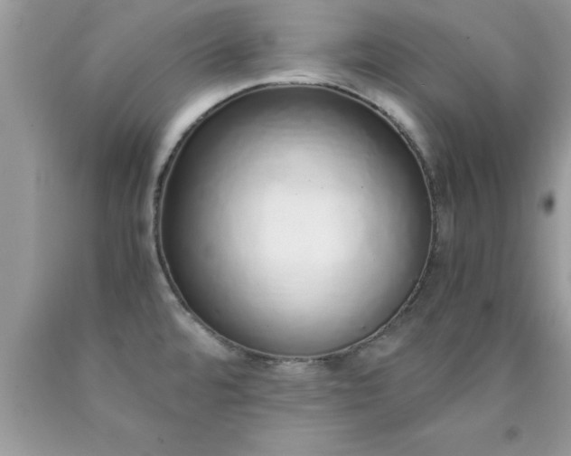 X0000090451480200707272205