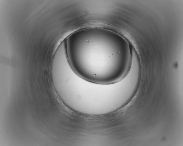 X0000090451481200707272205