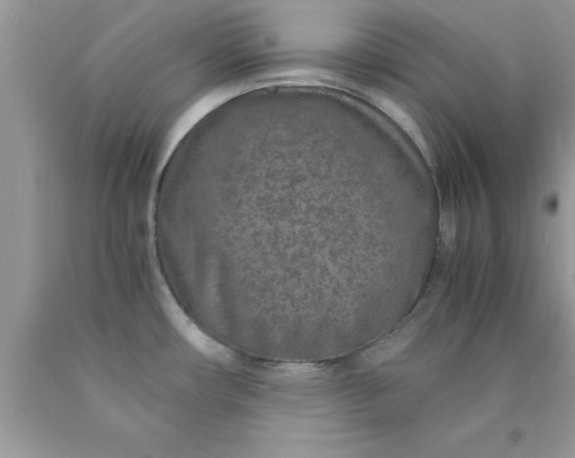 X0000090451482200707272205