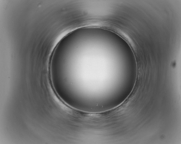 X0000090451483200707272205