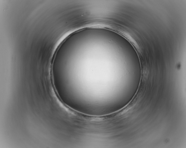 X0000090451484200707272205