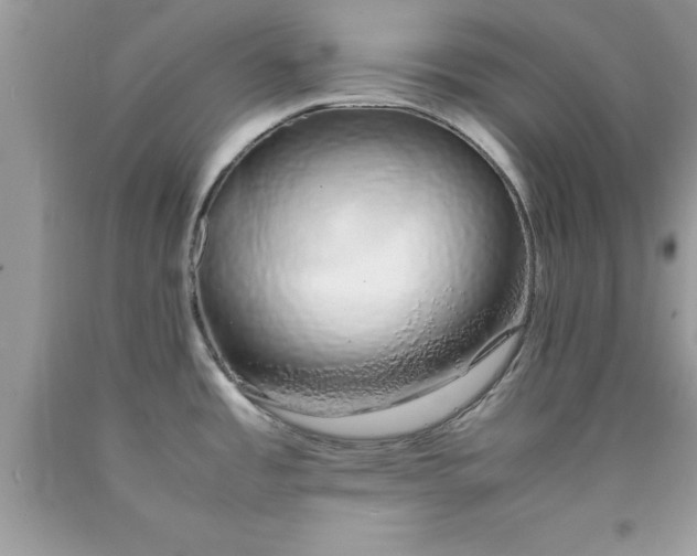 X0000090451485200707272205