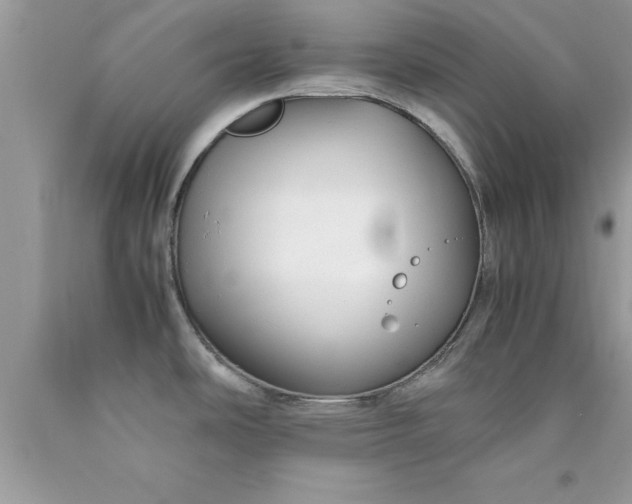 X0000090451486200707272205