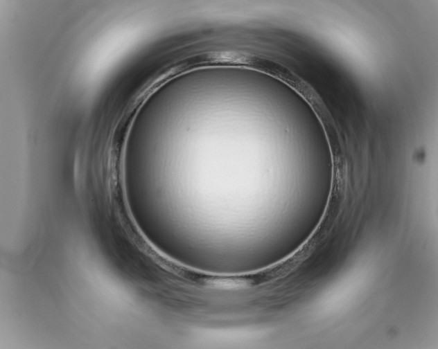 X0000090451487200707272205