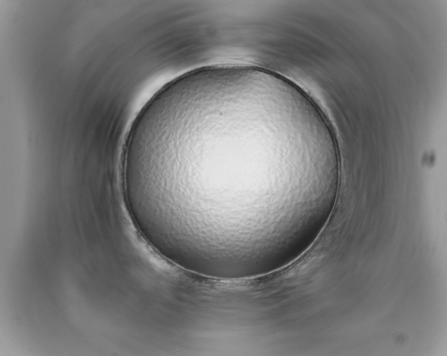 X0000090451488200707272205