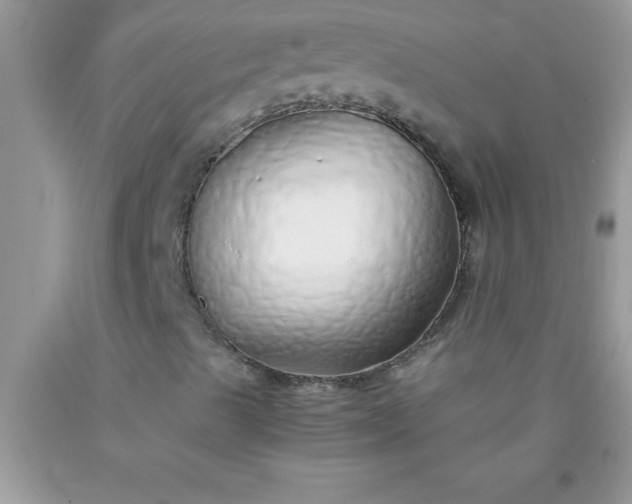 X0000090451489200707272205