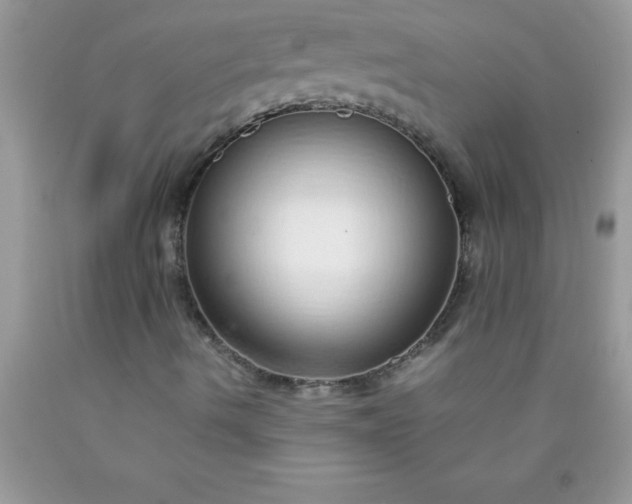 X0000090451490200707272205