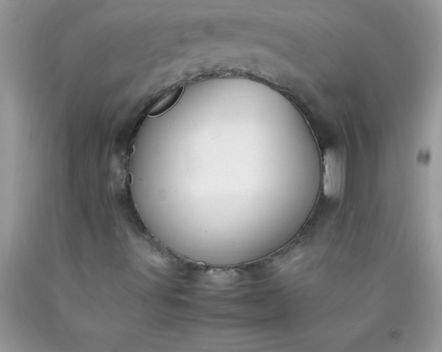 X0000090451491200707272205