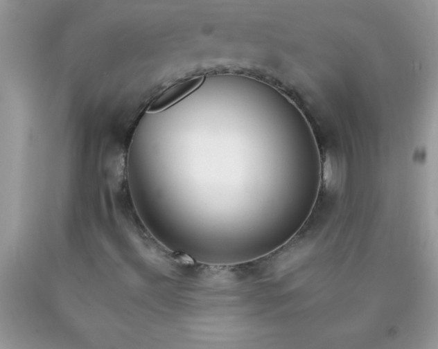 X0000090451492200707272205