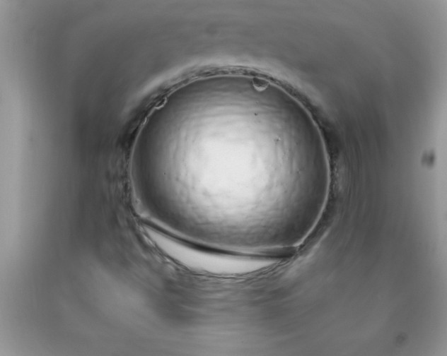 X0000090451494200707272205