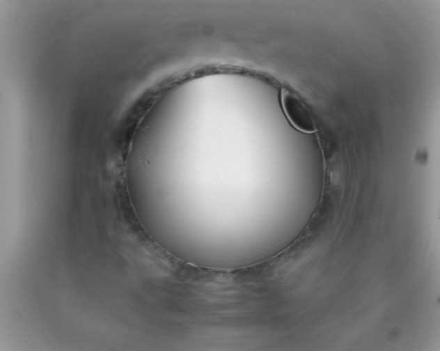 X0000090451495200707272205