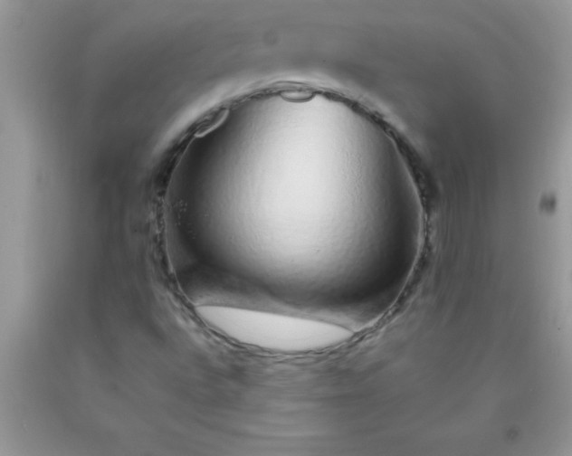 X0000090451496200707272205