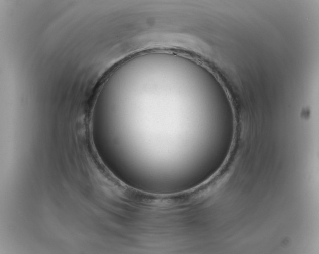 X0000090451497200707272205