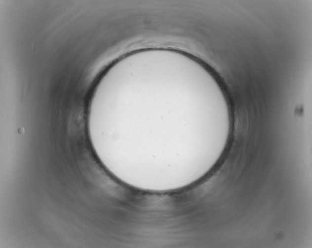 X0000090451498200707272205