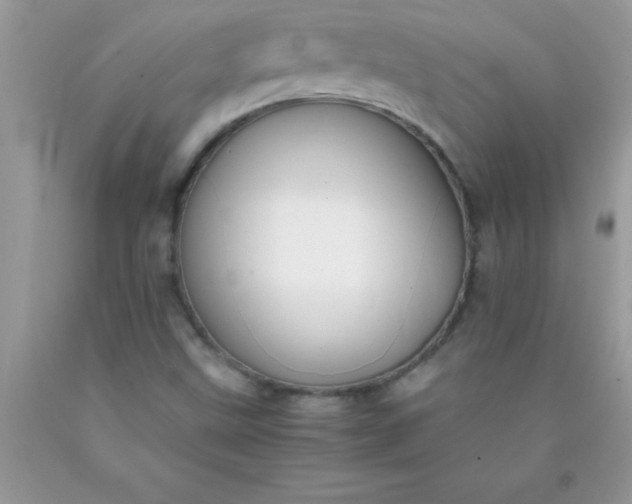 X0000090451499200707272205