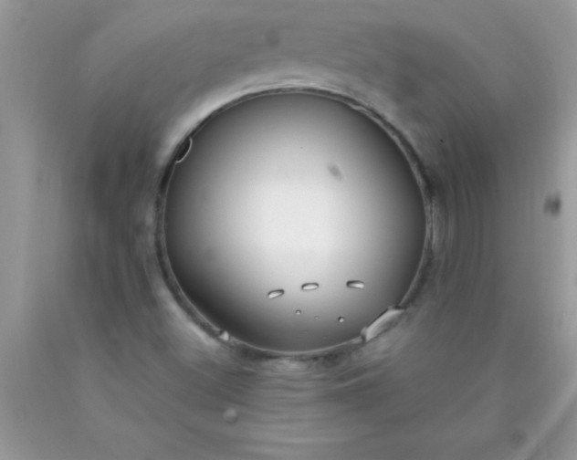 X0000090451500200707272205