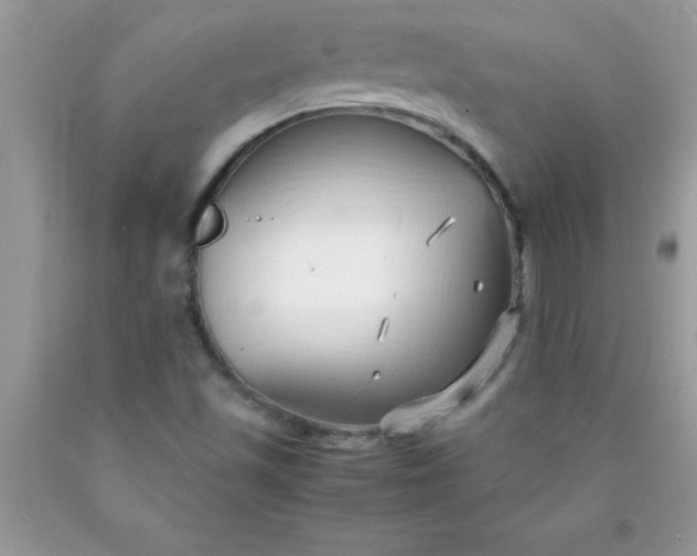 X0000090451501200707272205