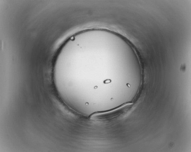 X0000090451502200707272205