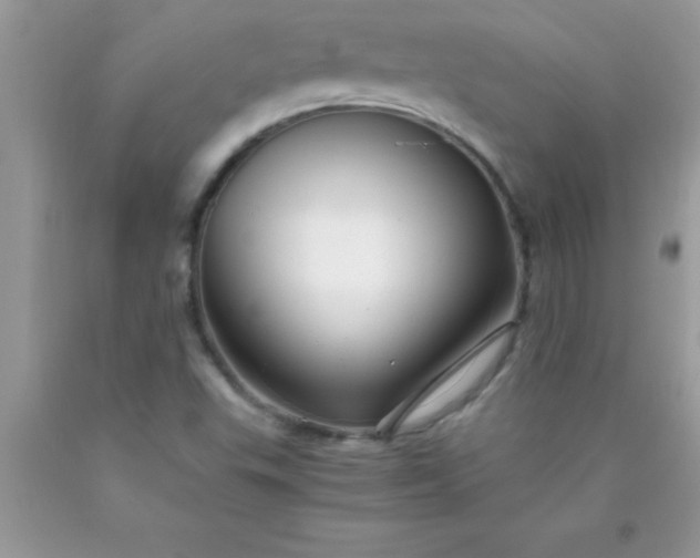 X0000090451503200707272205