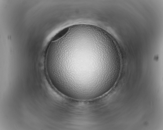 X0000090451504200707272205