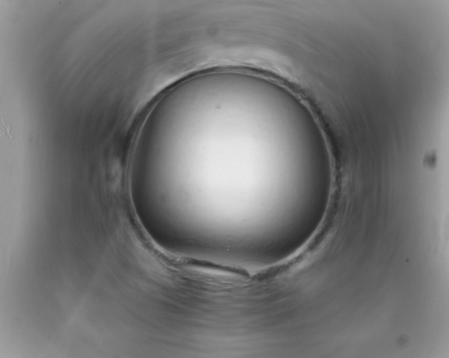 X0000090451505200707272205