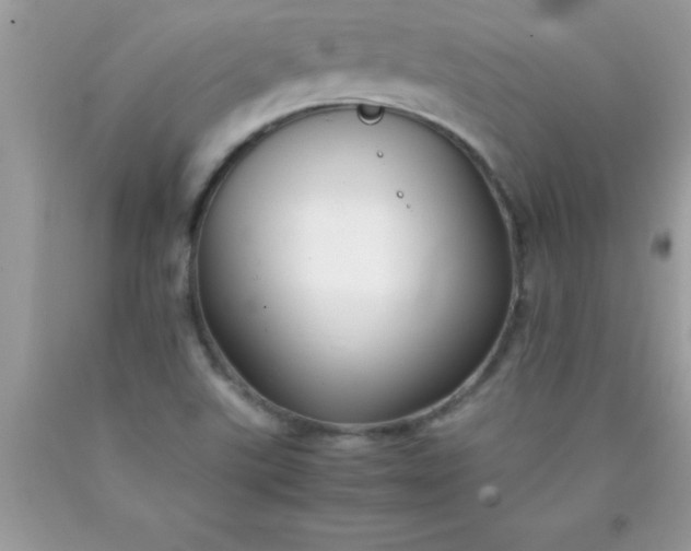 X0000090451507200707272205