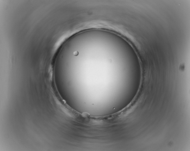 X0000090451509200707272205