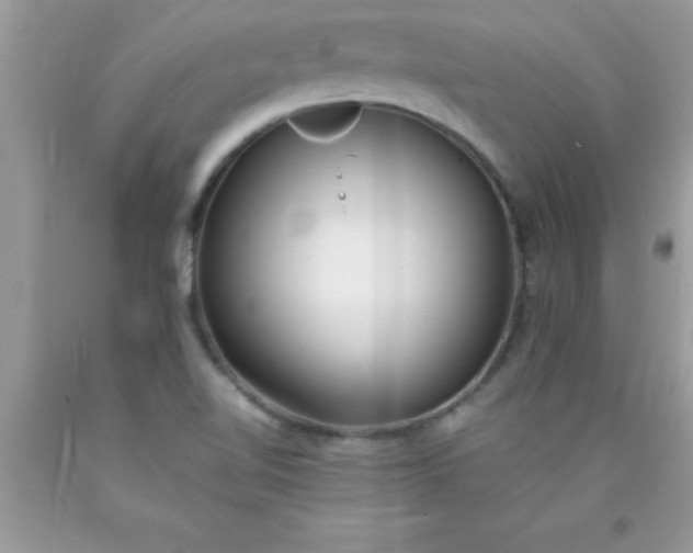 X0000090451510200707272205