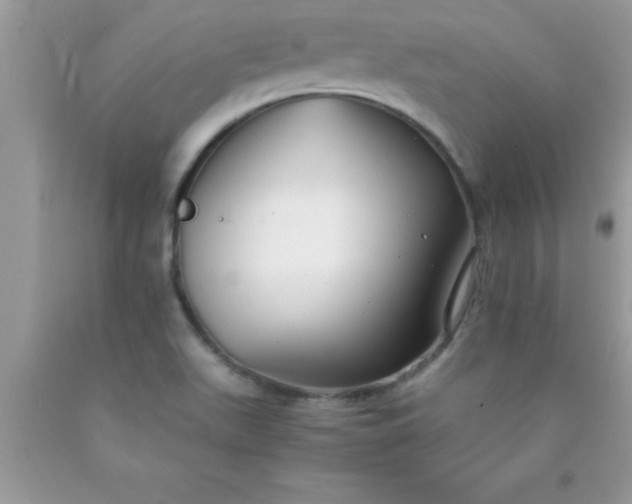 X0000090451511200707272205