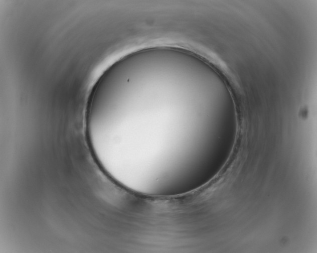 X0000090451512200707272205