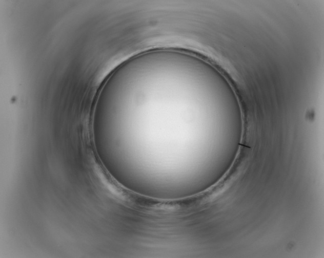 X0000090451513200707272205