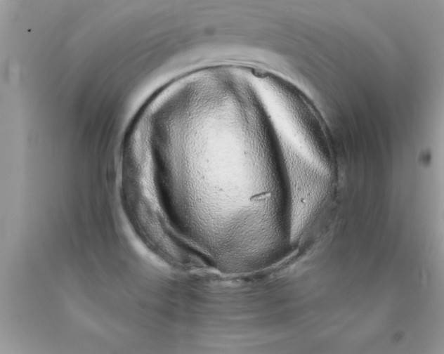 X0000090451515200707272205