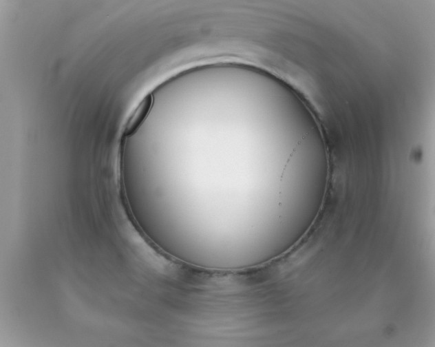 X0000090451516200707272205