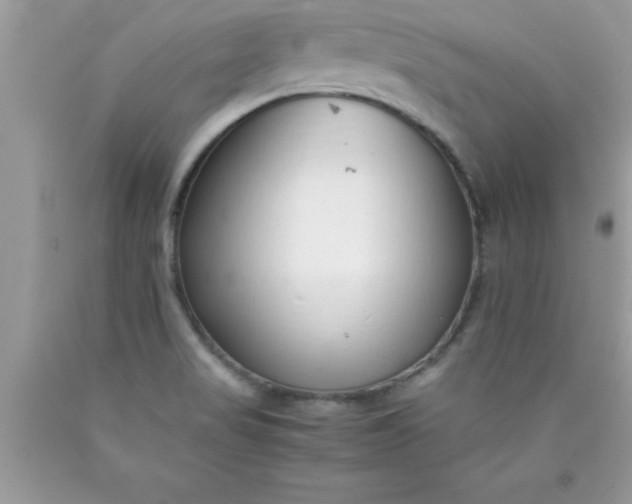 X0000090451517200707272205