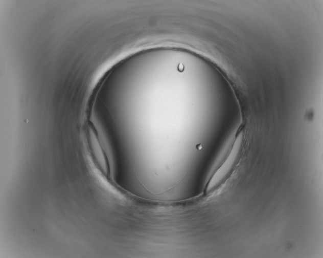 X0000090451518200707272205