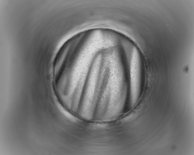 X0000090451519200707272205