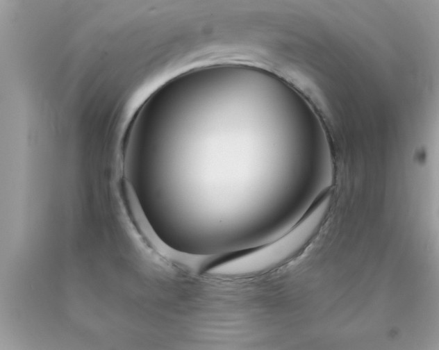 X0000090451520200707272205