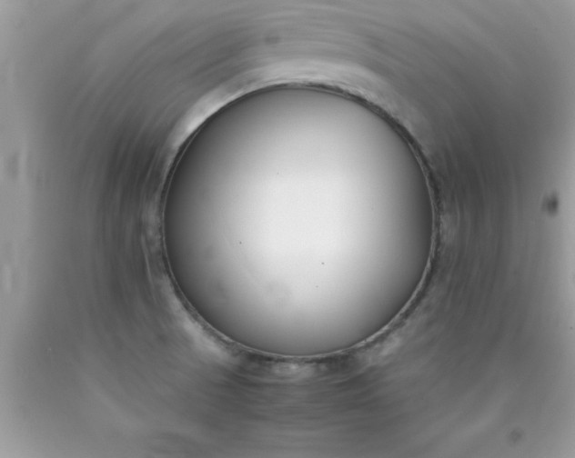 X0000090451521200707272205