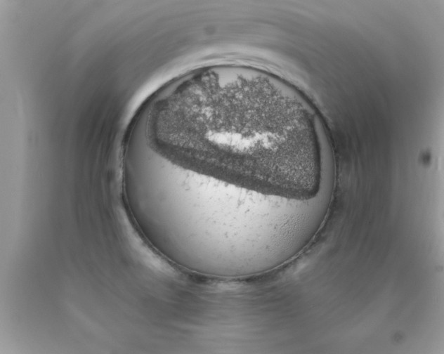 X0000090451522200707272205